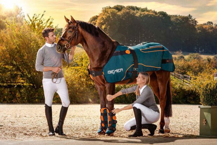 The horse blanket is the core element of the Horse-Set