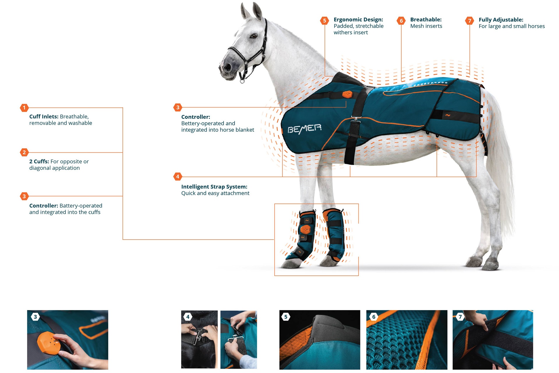 La couverture cheval: élément central du Horse-Set – BEMER Group