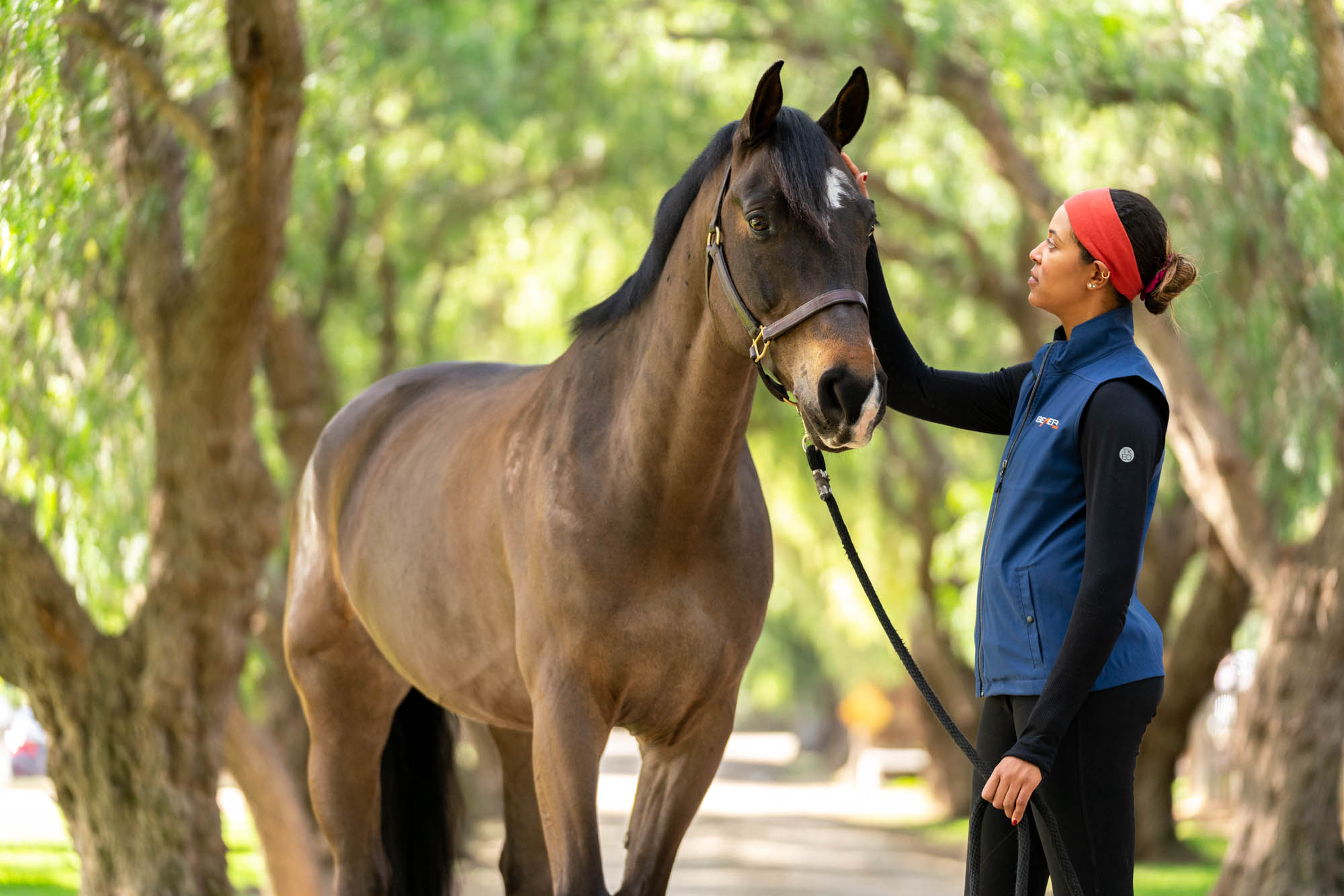 Horse and Trainer