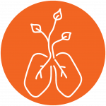 Orange icon of lungs with leafs growing from them